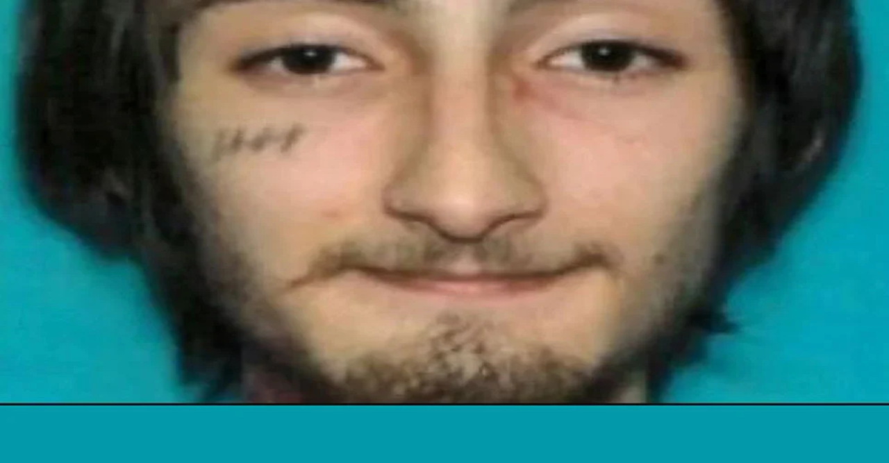 আমেরিকার স্বাধীনতা দিবসের কুচকাওয়াজে হামলাকারী গ্রেফতার