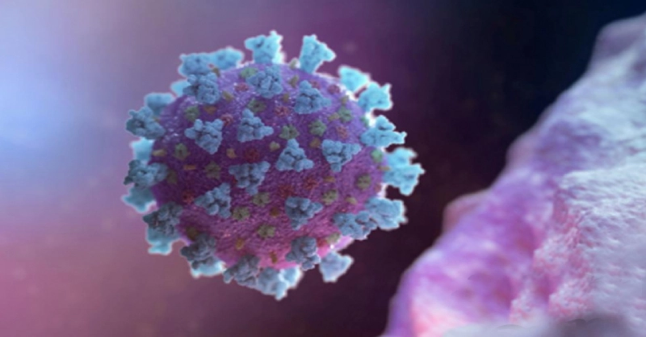 দেশে করোনার নতুন ধরন, সতর্কতা