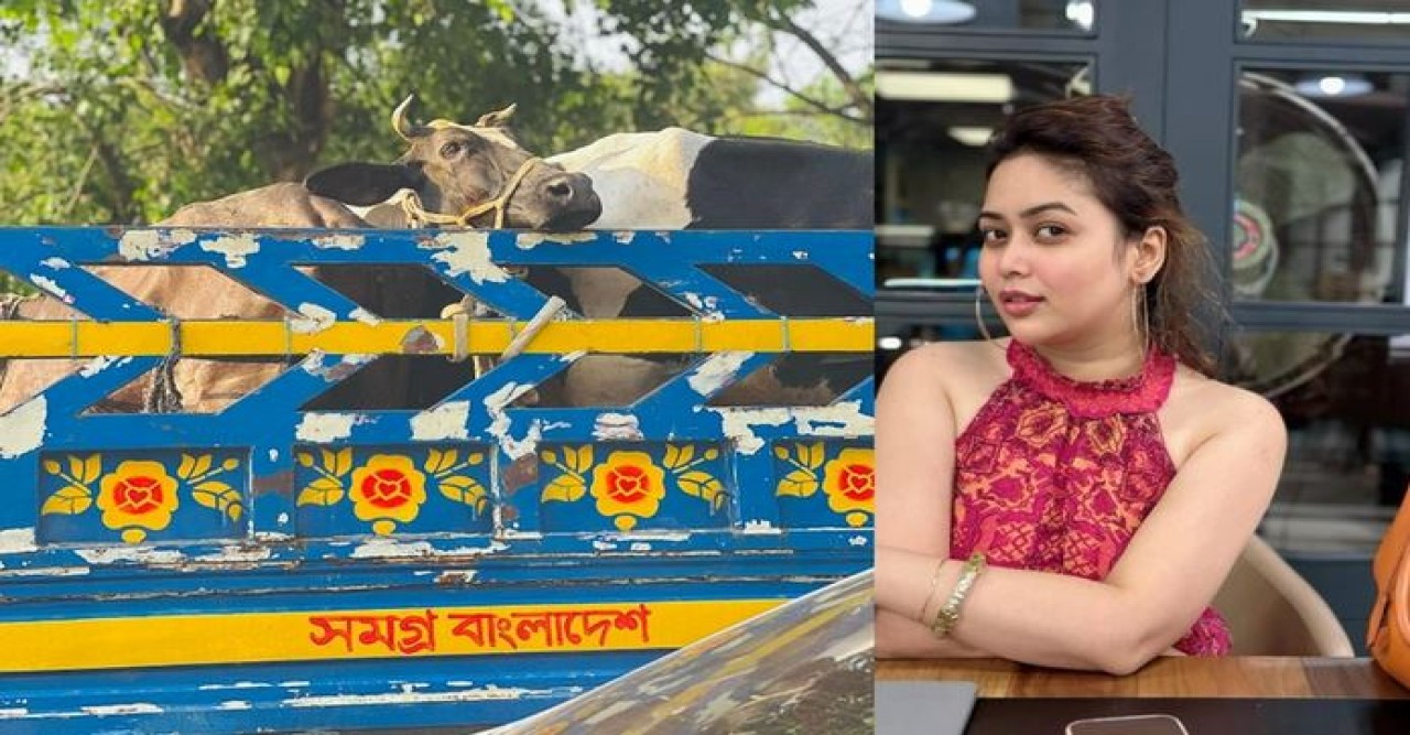 গরুর ছবি নিয়ে দেওয়া পোস্টের ব্যাখ্যা দিলেন ভাবনা