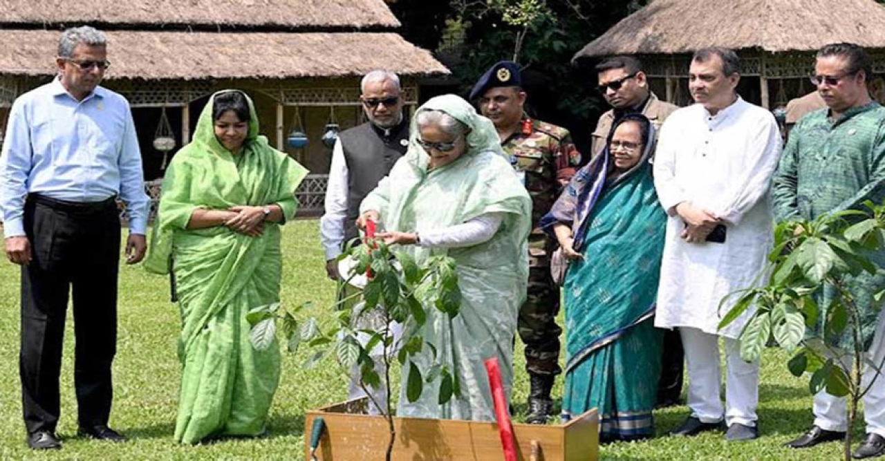 গাছ লাগানোর আহ্বান প্রধানমন্ত্রীর