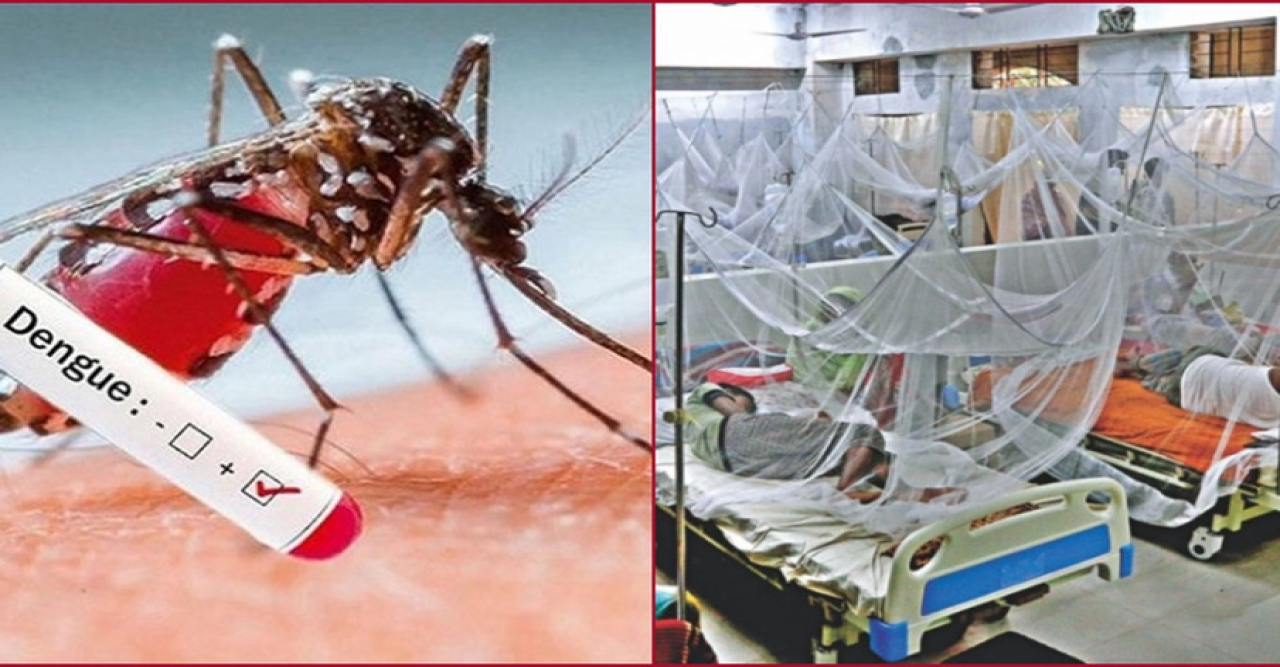 ডেঙ্গুতে গেল দুই পুলিশ সদস্যের প্রাণ, আক্রান্ত অর্ধশতাধিক