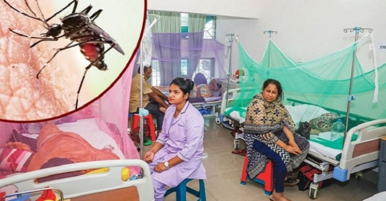 ডেঙ্গুতে ১০০-তে পৌঁছল মৃত্যু
