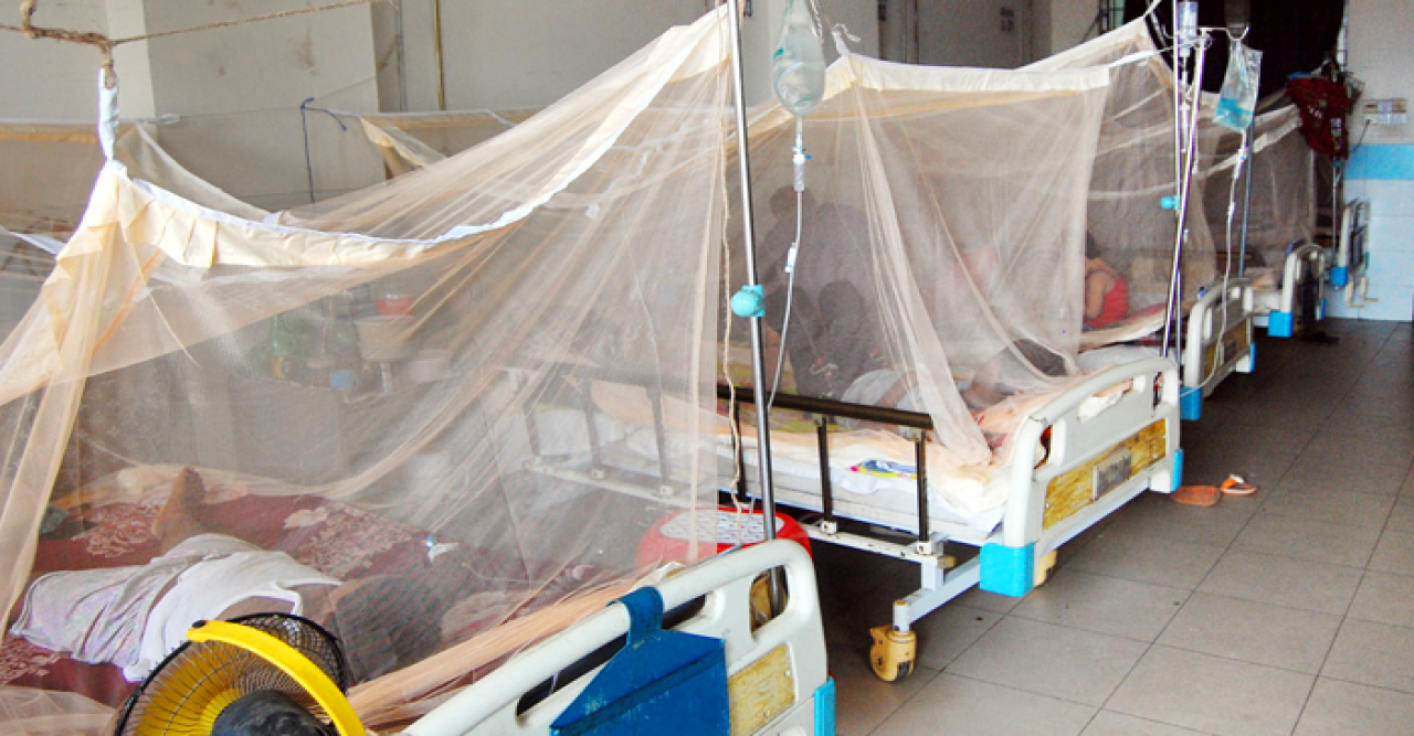 ডেঙ্গুতে গেল আরও ১৬ প্রাণ, হাসপাতালে ২৬০৮