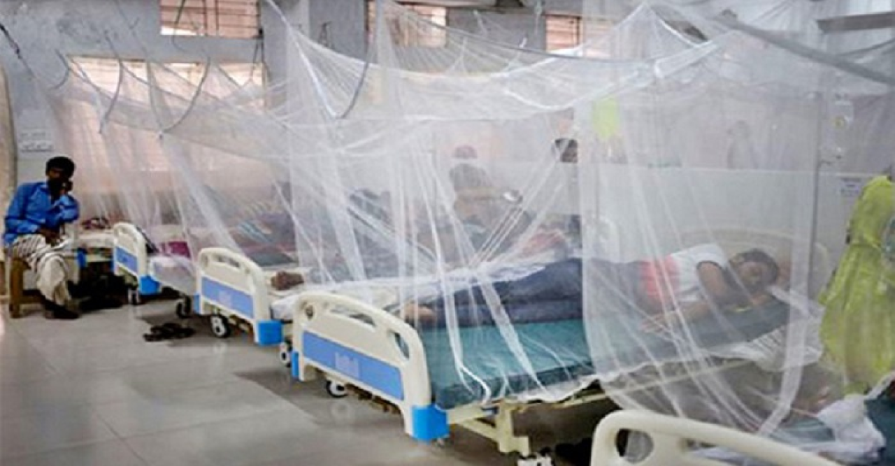 ২৪ ঘণ্টায় ডেঙ্গুতে ৯ মৃত্যু, হাসপাতালে ২৬১৭