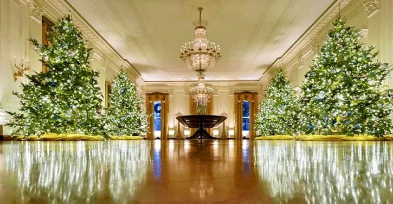 বড়দিনে হোয়াইট হাউজে স্বেচ্ছাসেবক হিসেবে কাজ করার সুযোগ