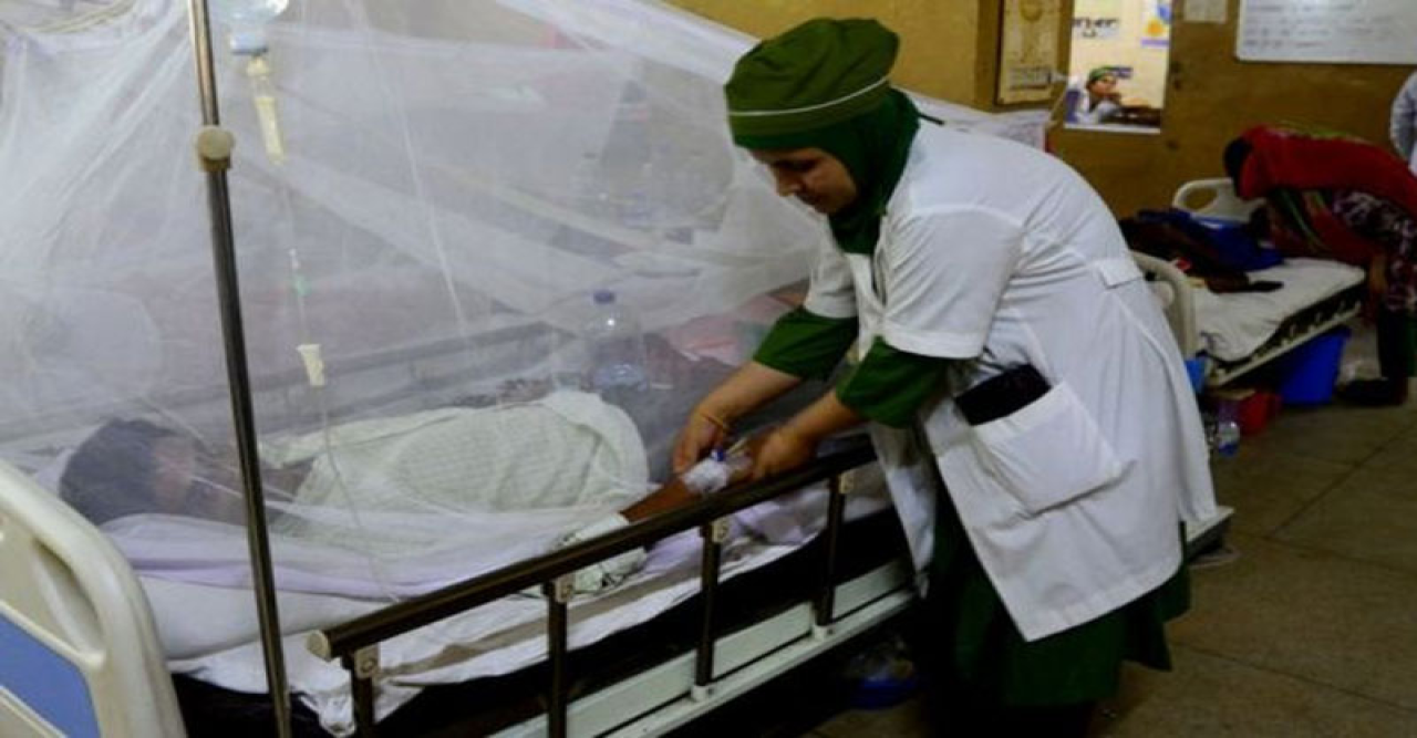 ডেঙ্গু আক্রান্ত আরো ৩১০ জন হাসপাতালে