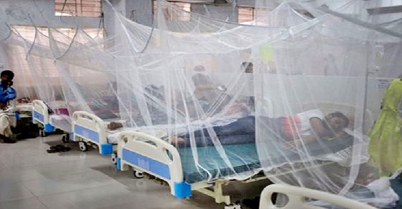 ২৪ ঘণ্টায় ৯২৩ ডেঙ্গু রোগী হাসপাতালে ভর্তি, ২ জনের মৃত্যু