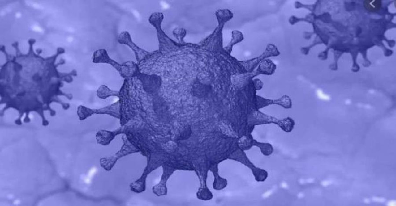 দেশে আরও ১২ জনের করোনা শনাক্ত