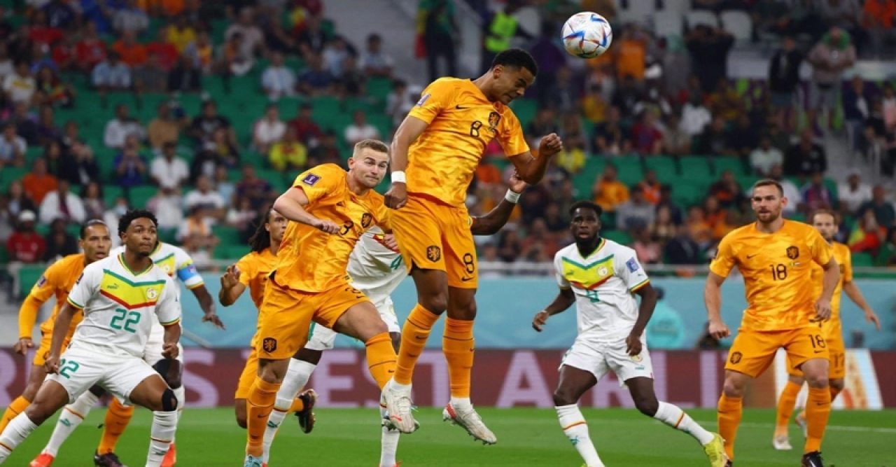 সেনেগালকে হারিয়ে বিশ্বকাপ শুরু ডাচদের