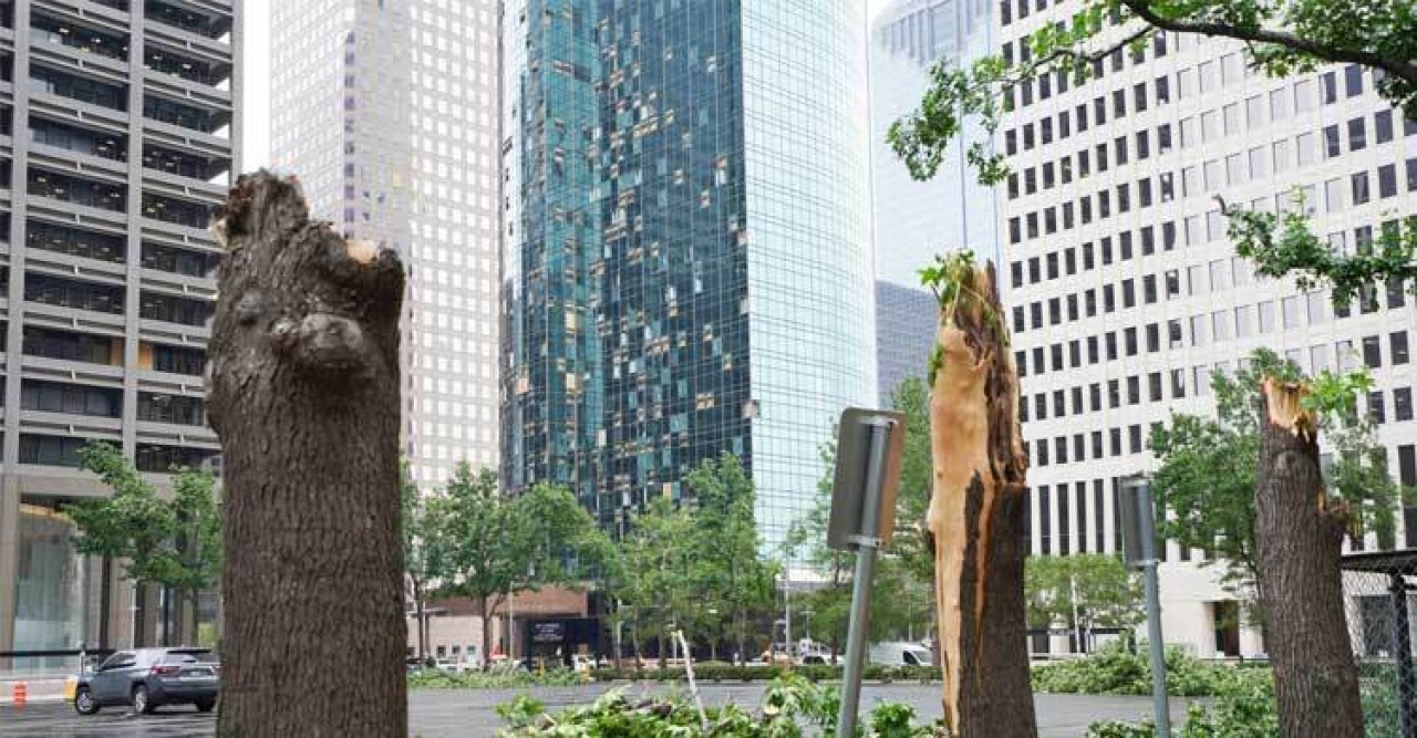 যুক্তরাষ্ট্রের টেক্সাসে ভারী বৃষ্টি-ঝড়, নিহত ৭