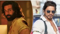 বক্স অফিসে ‘অ্যানিমেল’ রাজত্ব, শাহরুখের পথেই হাঁটছেন রণবীর