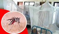 ডেঙ্গুতে আক্রান্ত হয়ে ১৩ রোগী হাসপাতালে