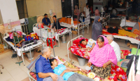 ডেঙ্গুর প্রকোপ কমছেই না, মৃত্যু ৩৫০ ছাড়াল