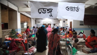 ২৪ ঘণ্টায় ডেঙ্গু শনাক্ত ১১৯৭, সুস্থ ১৪৮৮