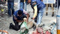 প্রেমের প্রস্তাবে রাজি না হওয়ায় শ্যালিকাকে তিন টুকরা করলেন দুলাভাই