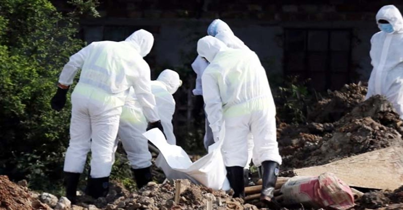 করোনায় একদিনে ১২ জনের মৃত্যু