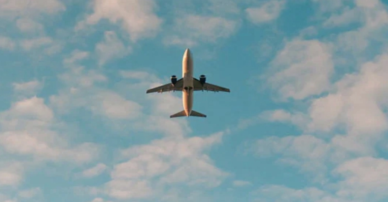 মাঝ আকাশে বিমানের দুয়ার খুলতে গেলেন এক নারী!