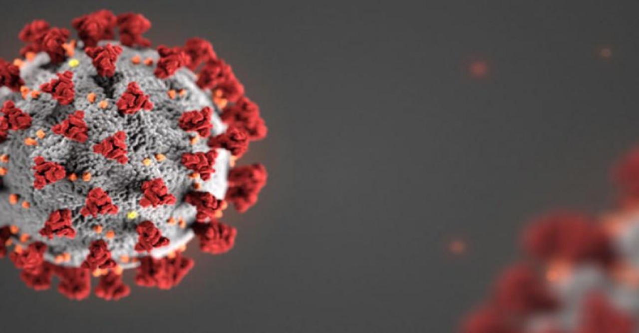 করোনায় মৃত্যুশূন্য দিনে শনাক্ত ১৭