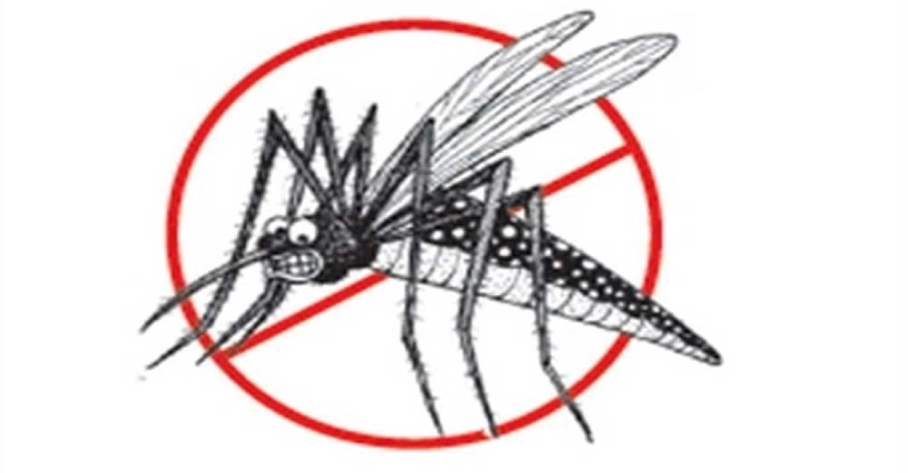 ডেঙ্গুতে ৮ জনের মৃত্যু, হাসপাতালে ১৭০৮