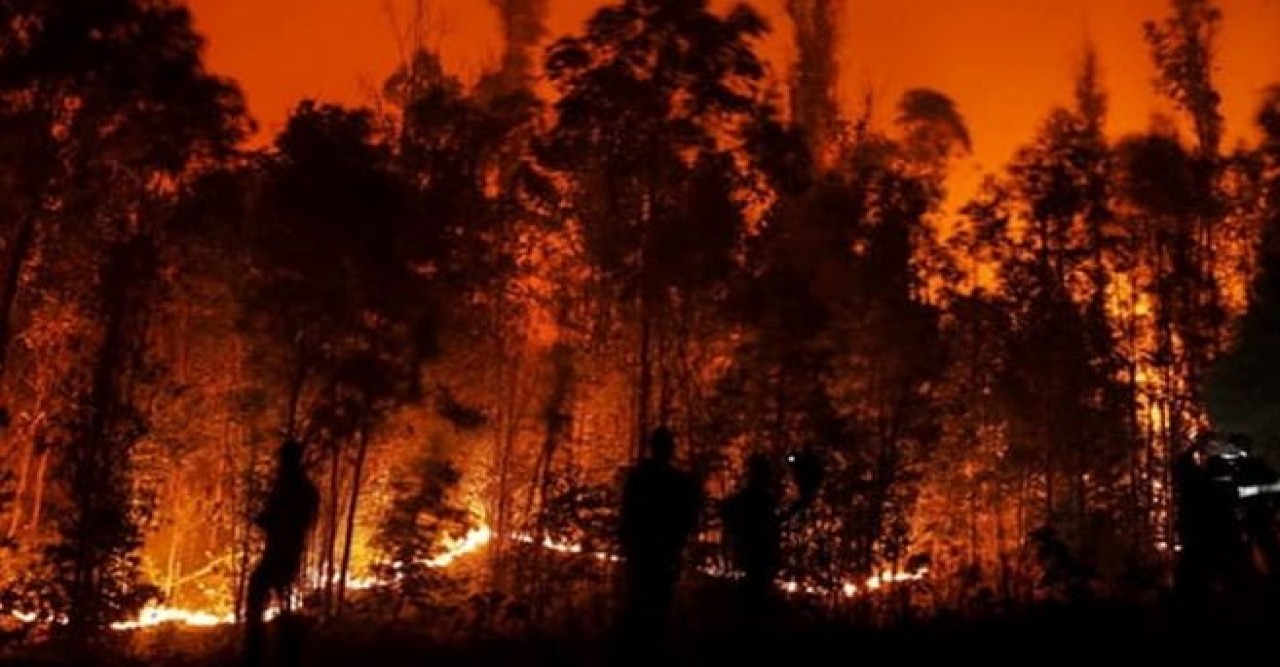 চিলির বনভূমিতে দাবানলে ১০ জনের মৃত্যুর আশঙ্কা