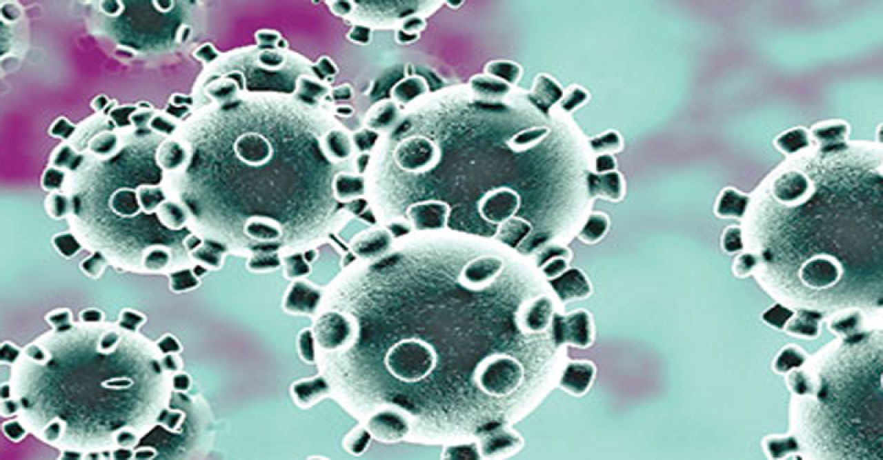 করোনায় মৃত্যুশূন্য দিনে শনাক্ত ৯