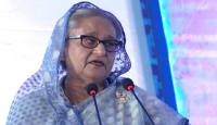 এখন কূটনীতি পলিটিক্যাল নয়, ইকোনমিক হবে : প্রধানমন্ত্রী