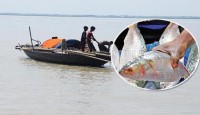 রবিবার থেকে ২২ দিন বন্ধ ইলিশ আহরণ