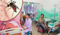 বাড়ছে ডেঙ্গু, ভাঙছে মৃত্যু ও শনাক্তের রেকর্ড