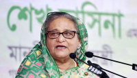 মশা মেরে শেষ করা যাবে না, সচেতন হতে হবে : প্রধানমন্ত্রী