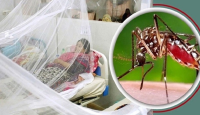 ডেঙ্গুতে আরও ১৫ মৃত্যু, শনাক্ত ১৭২৮