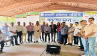 নিউইয়র্কে প্রবাসী মতলব সমিতির বার্ষিক বনভোজন